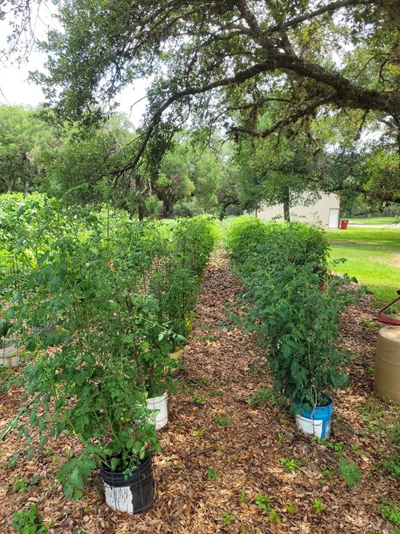 52 Sandy Creek Drive, Van Vleck, Texas image 13