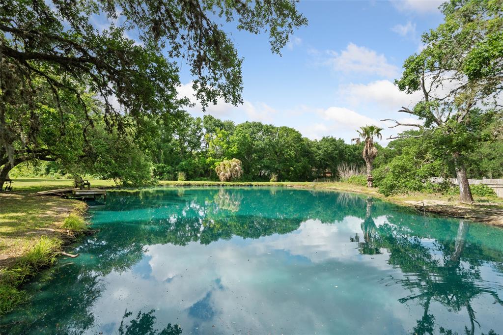 52 Sandy Creek Drive, Van Vleck, Texas image 11