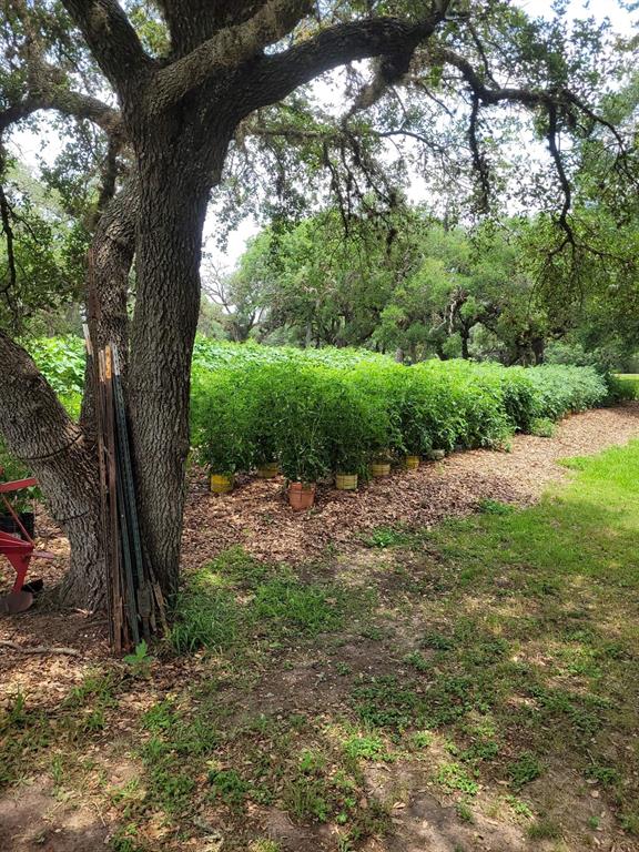 52 Sandy Creek Drive, Van Vleck, Texas image 14