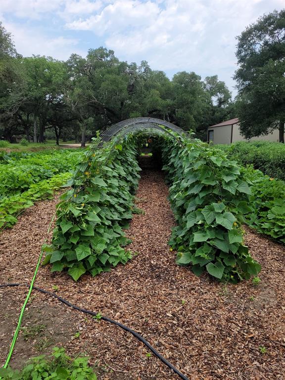 52 Sandy Creek Drive, Van Vleck, Texas image 10