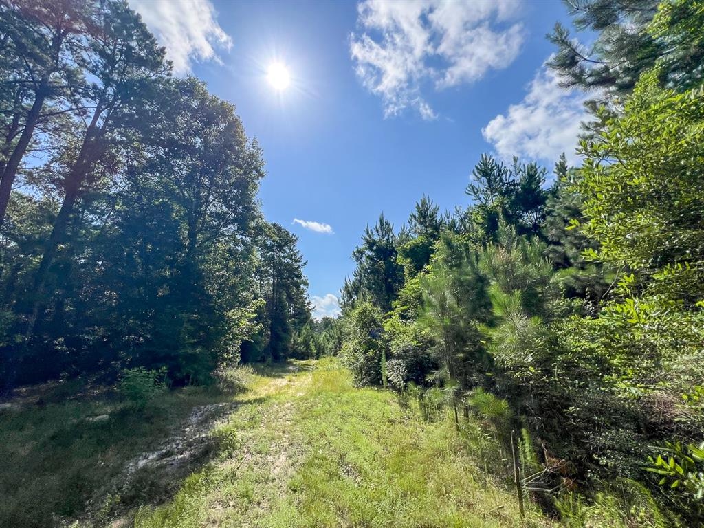 Cr 3550, Woodville, Texas image 3