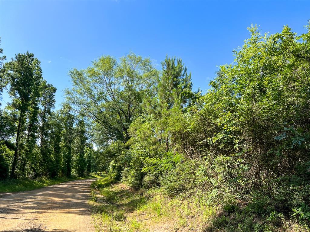 Cr 3550, Woodville, Texas image 9