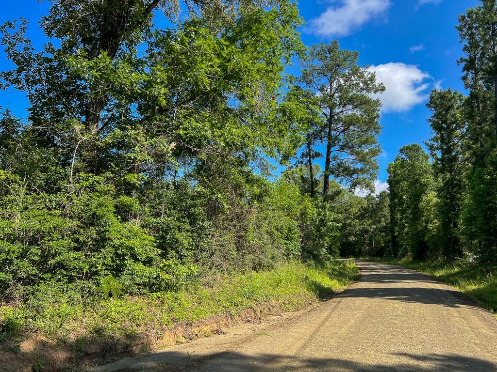 Cr 3550, Woodville, Texas image 11