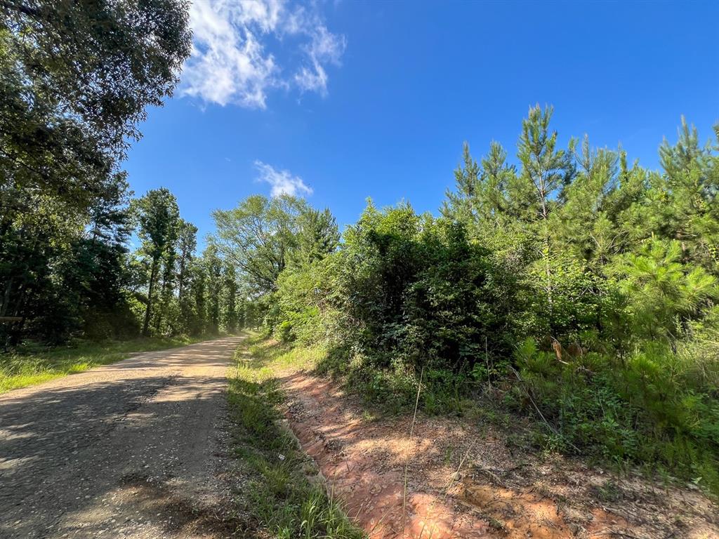 Cr 3550, Woodville, Texas image 6