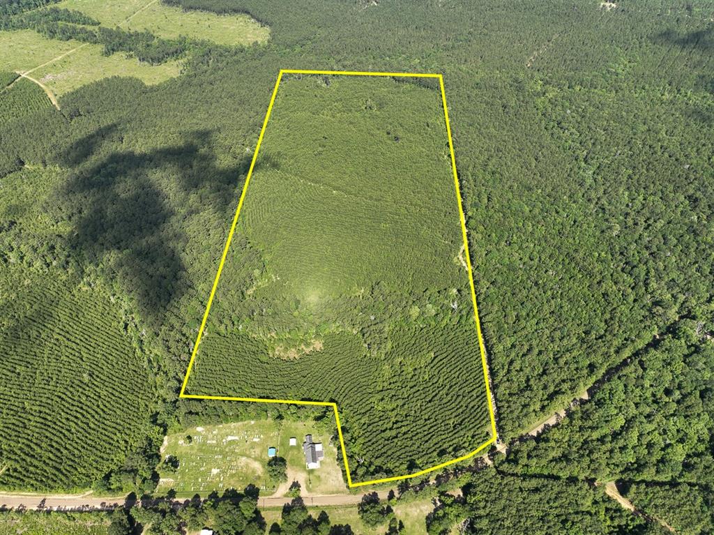 Cr 3550, Woodville, Texas image 1
