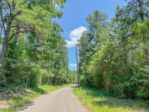 Vacant Land For Sale - 03 Cr 364e<br/> Zavalla, TX 75980