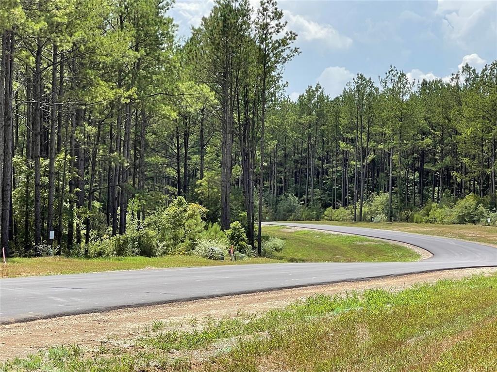16029 Ridge Oak Road Rd, Willis, Texas image 14