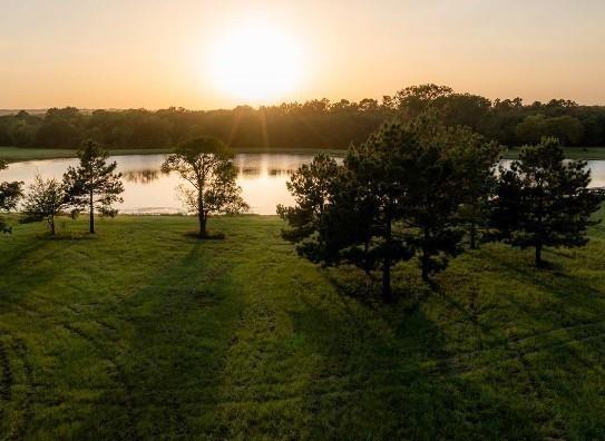 16029 Ridge Oak Road Rd, Willis, Texas image 8