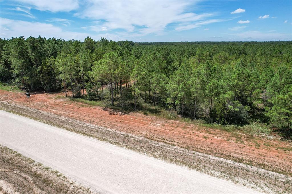 16029 Ridge Oak Road Rd, Willis, Texas image 2
