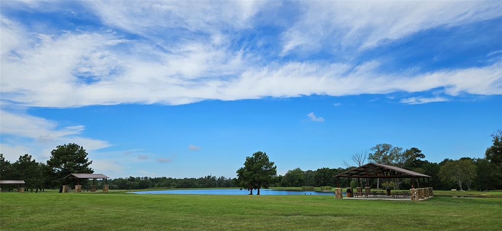 16029 Ridge Oak Road Rd, Willis, Texas image 5