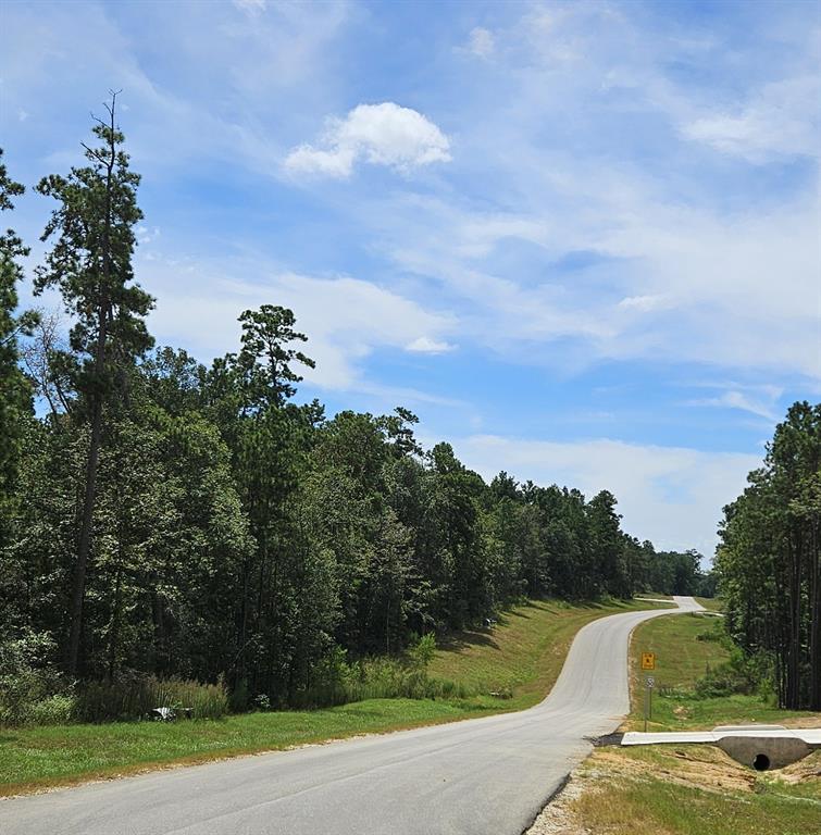 16029 Ridge Oak Road Rd, Willis, Texas image 7