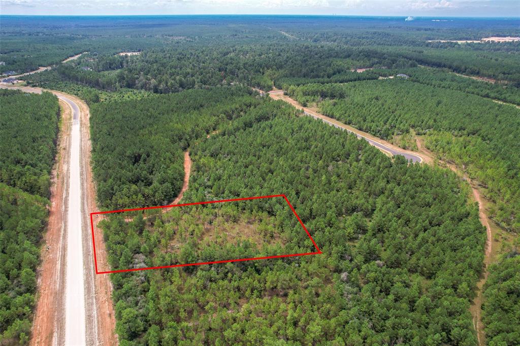 16029 Ridge Oak Road Rd, Willis, Texas image 1