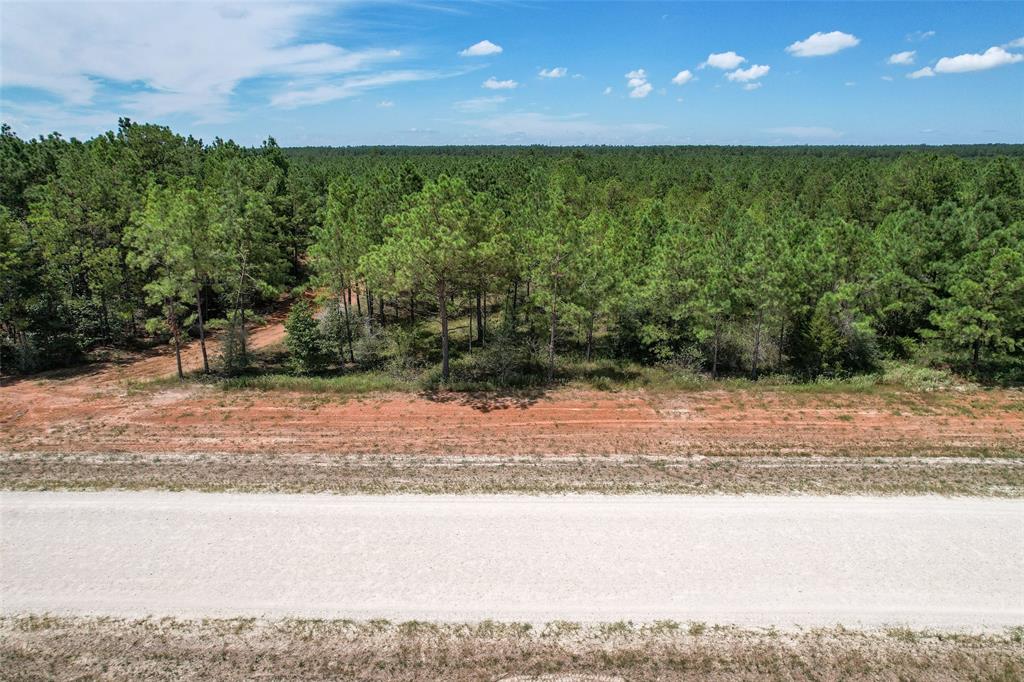 16029 Ridge Oak Road Rd, Willis, Texas image 3