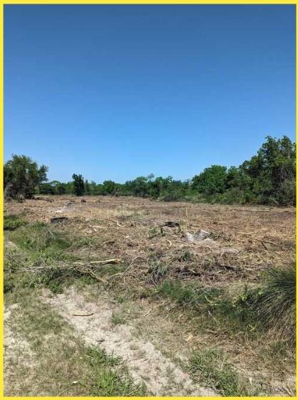 525 11th Street, San Leon, Texas image 6