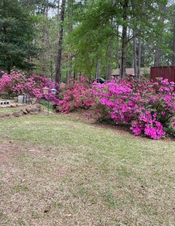 224 Private Road 5515, Palestine, Texas image 14