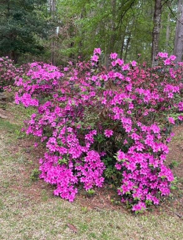 224 Private Road 5515, Palestine, Texas image 13