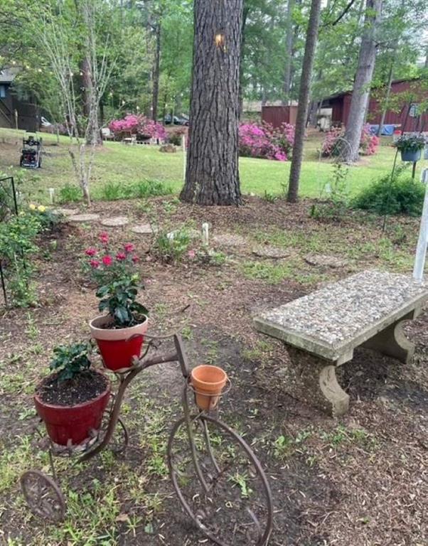 224 Private Road 5515, Palestine, Texas image 10