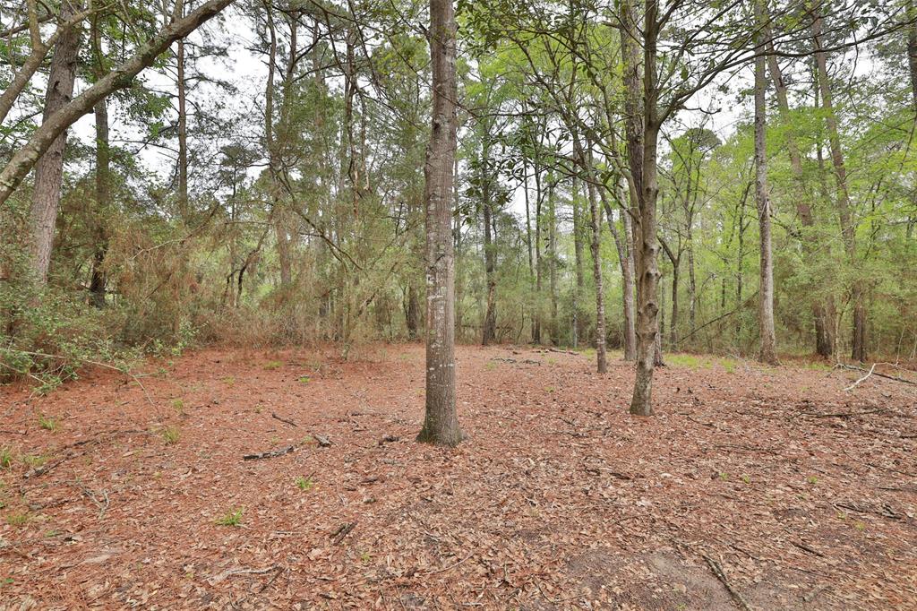 9239 Walnut Road, Plantersville, Texas image 46