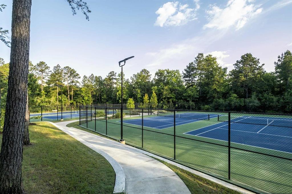 410 Embden Rim Drive, Willis, Texas image 49
