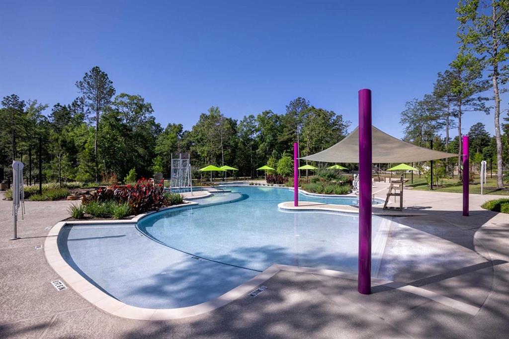 410 Embden Rim Drive, Willis, Texas image 48