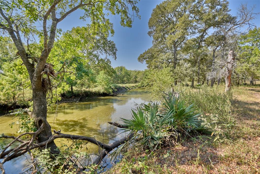 2161 Blue Hole Road, Bleiblerville, Texas image 45