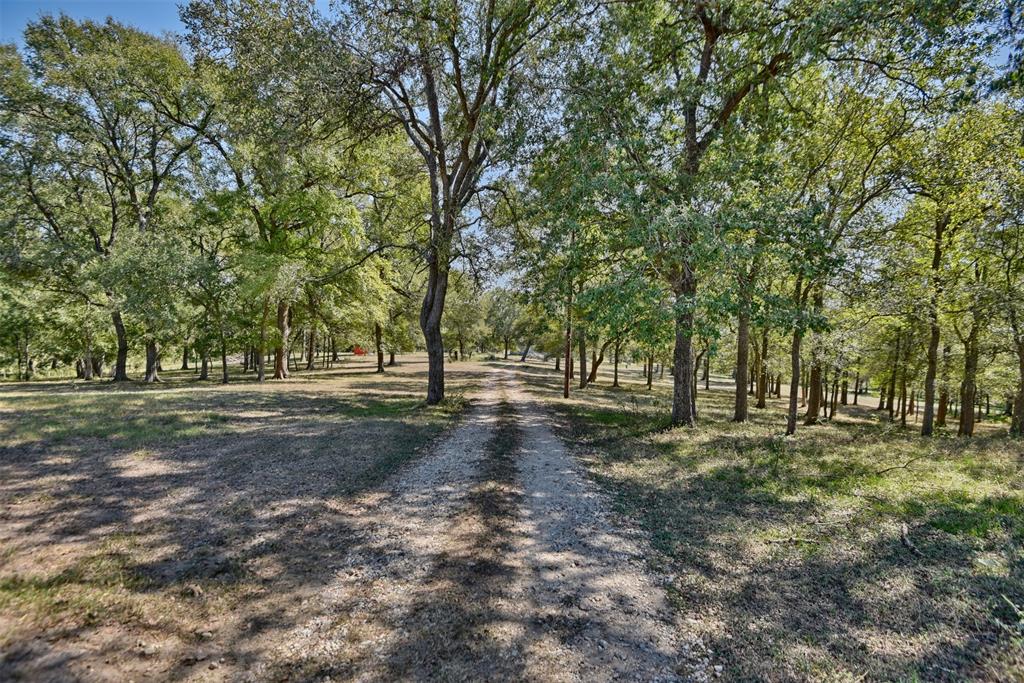 2161 Blue Hole Road, Bleiblerville, Texas image 43