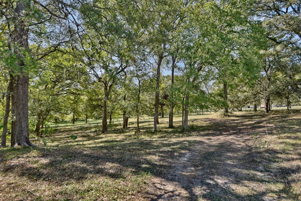 2161 Blue Hole Road, Bleiblerville, Texas image 50