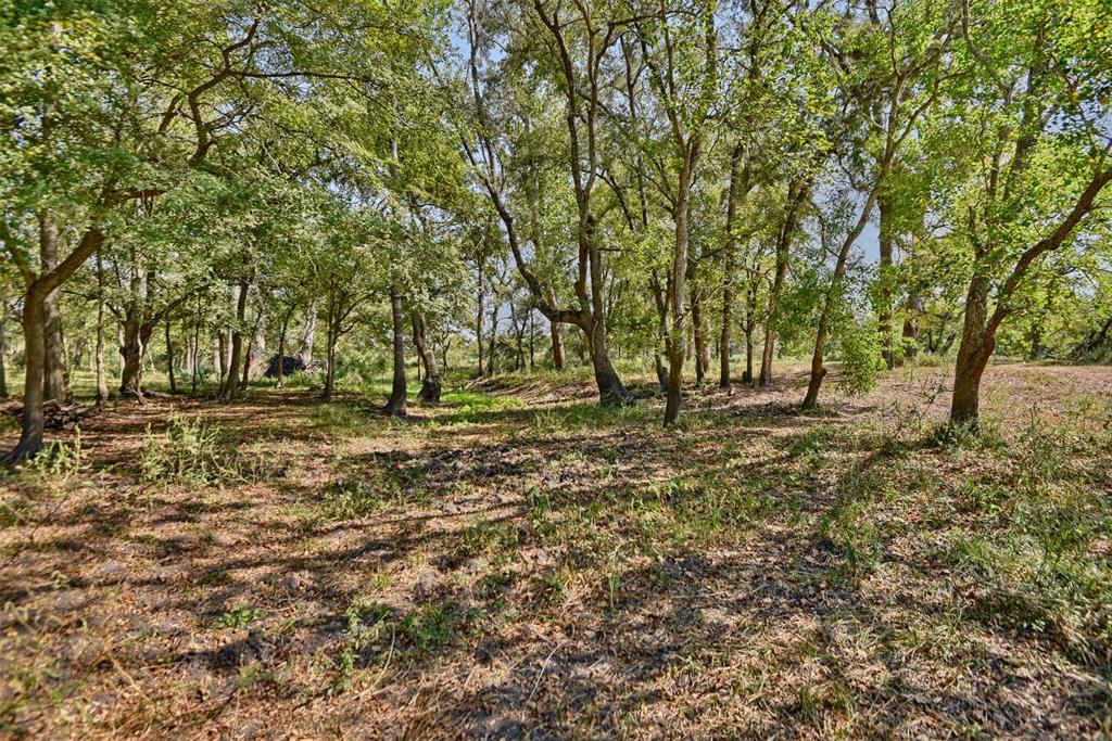 2161 Blue Hole Road, Bleiblerville, Texas image 48