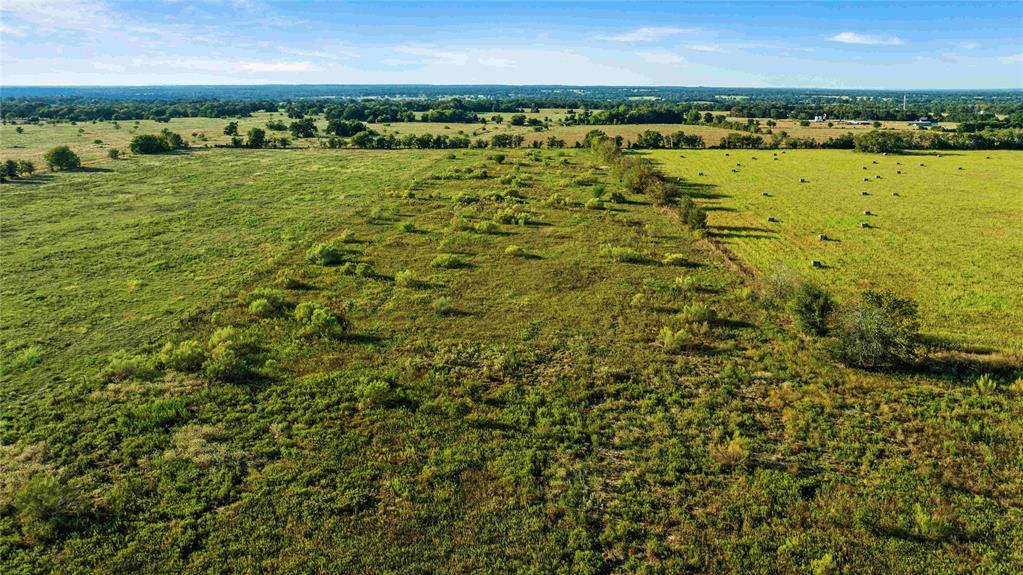 TBD County Road 216, Caldwell, Texas image 12