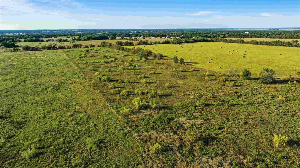 TBD County Road 216, Caldwell, Texas image 13