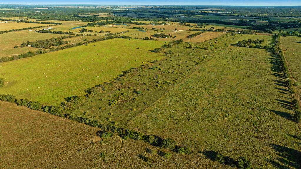 TBD County Road 216, Caldwell, Texas image 15