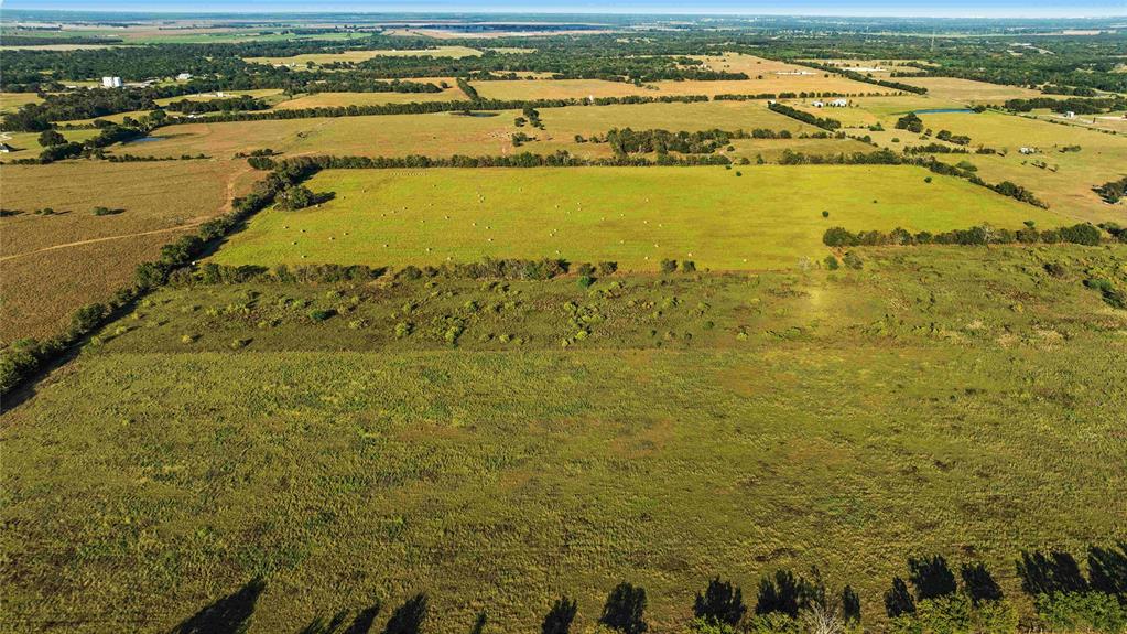 TBD County Road 216, Caldwell, Texas image 14