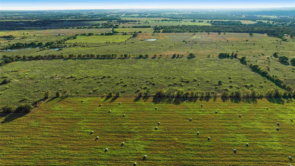 TBD County Road 216, Caldwell, Texas image 18