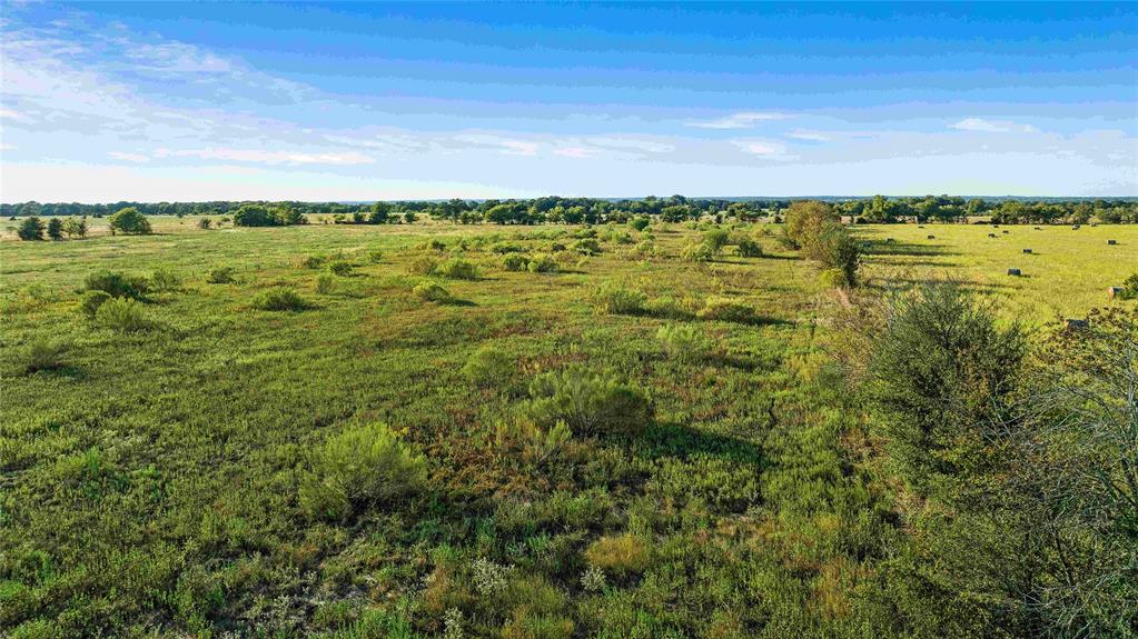 TBD County Road 216, Caldwell, Texas image 3