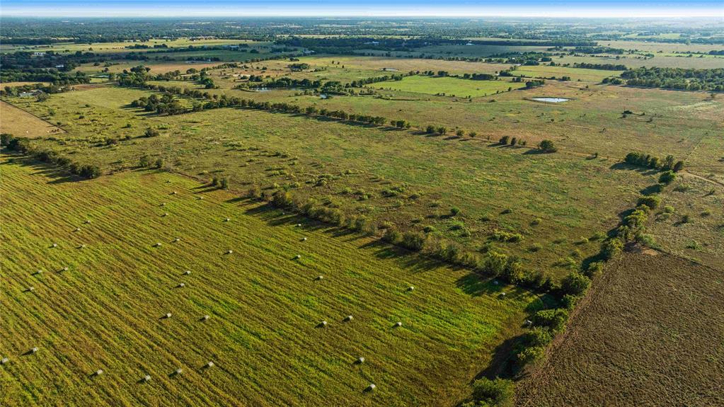 TBD County Road 216, Caldwell, Texas image 17