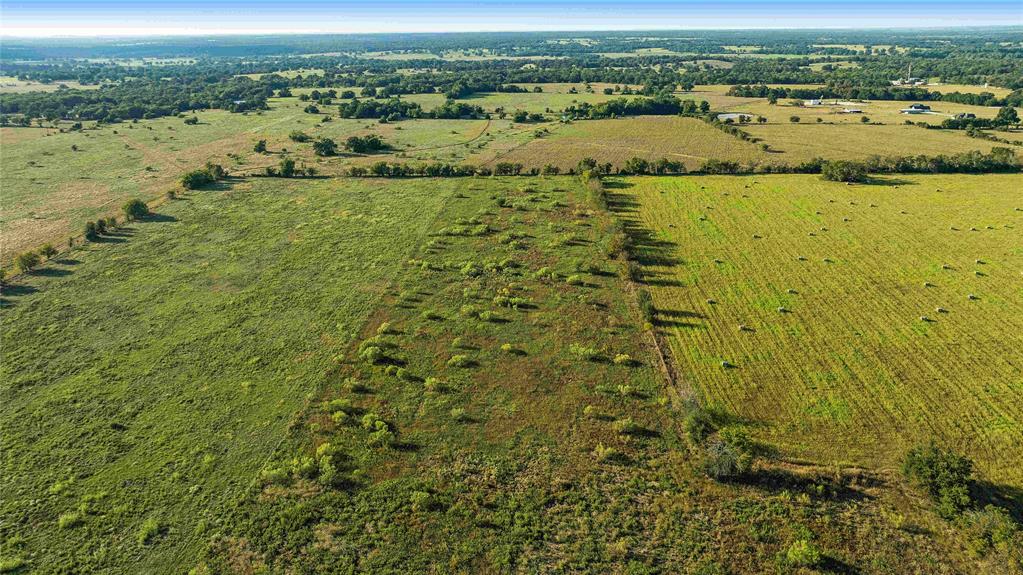 TBD County Road 216, Caldwell, Texas image 20