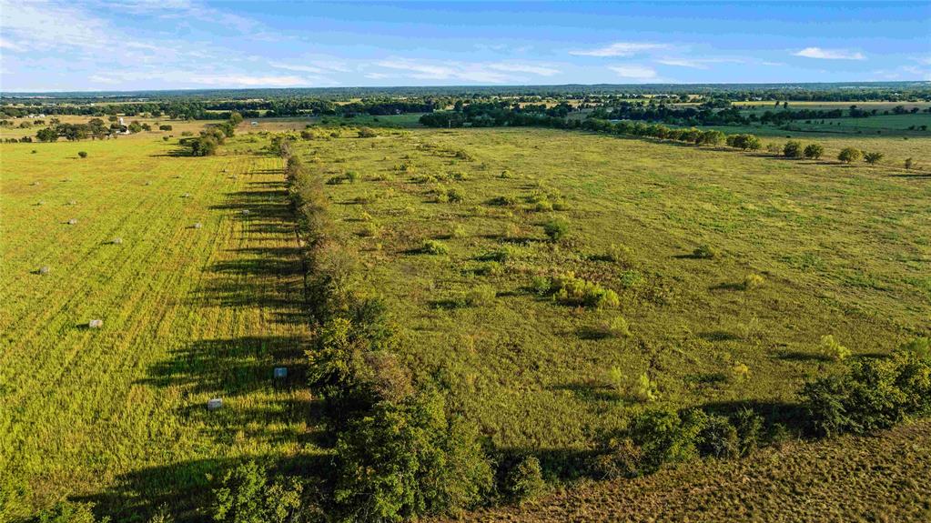 TBD County Road 216, Caldwell, Texas image 8