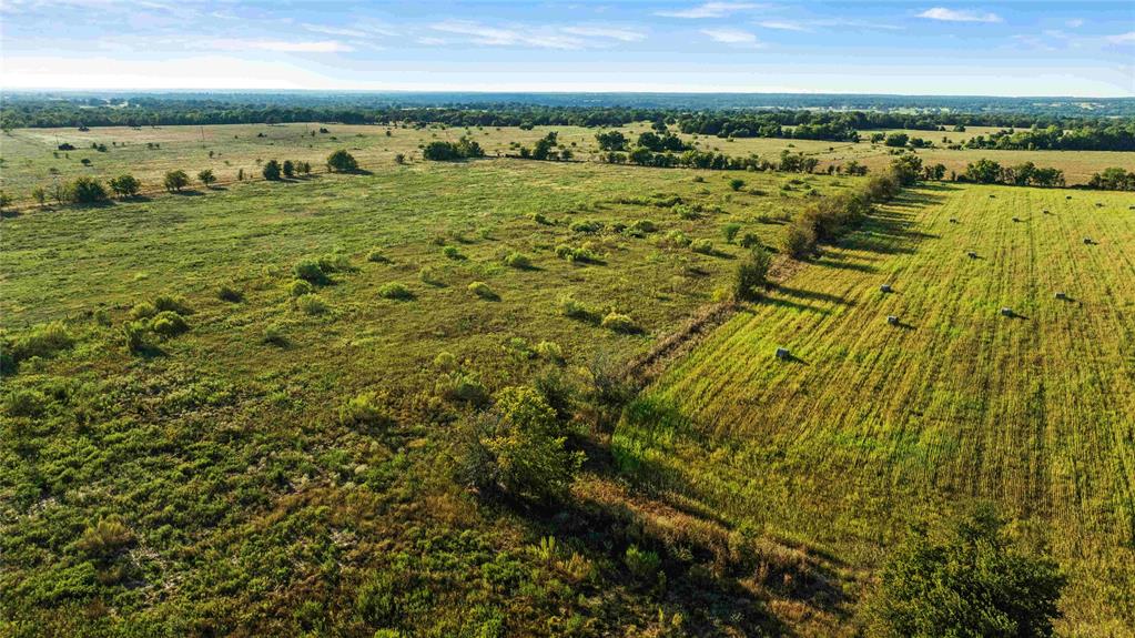 TBD County Road 216, Caldwell, Texas image 11