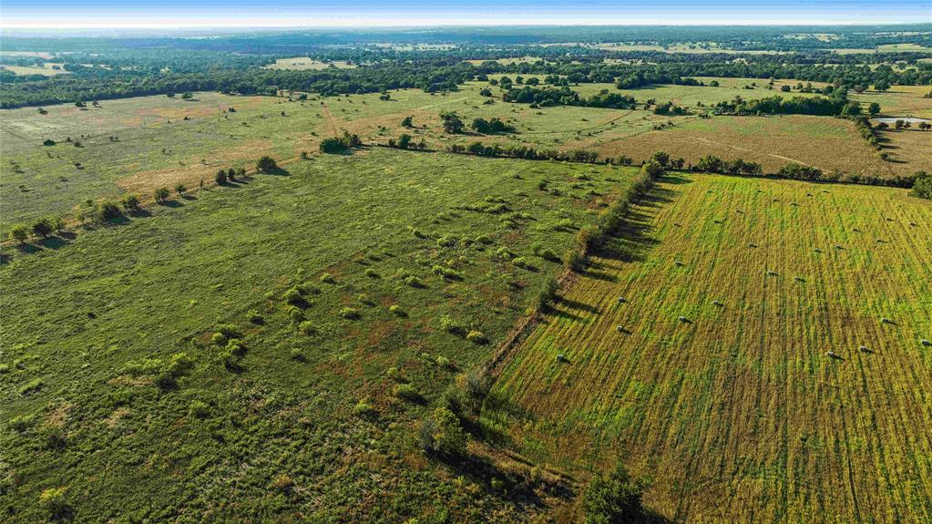 TBD County Road 216, Caldwell, Texas image 19