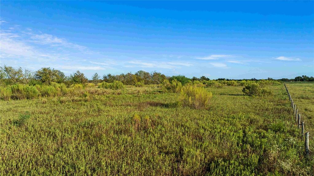 TBD County Road 216, Caldwell, Texas image 6