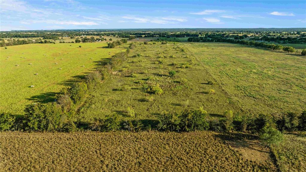 TBD County Road 216, Caldwell, Texas image 7