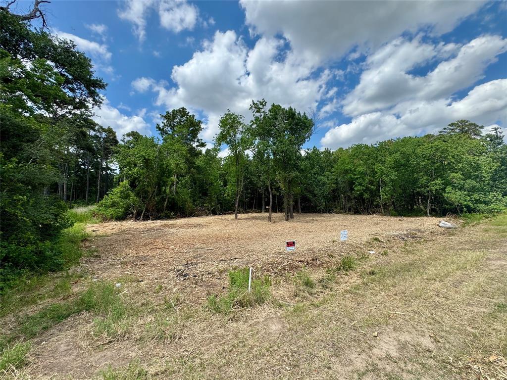 W Hardy 31b Road, Houston, Texas image 3