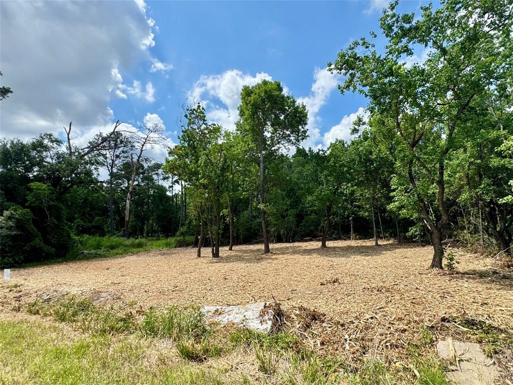 W Hardy 31b Road, Houston, Texas image 4