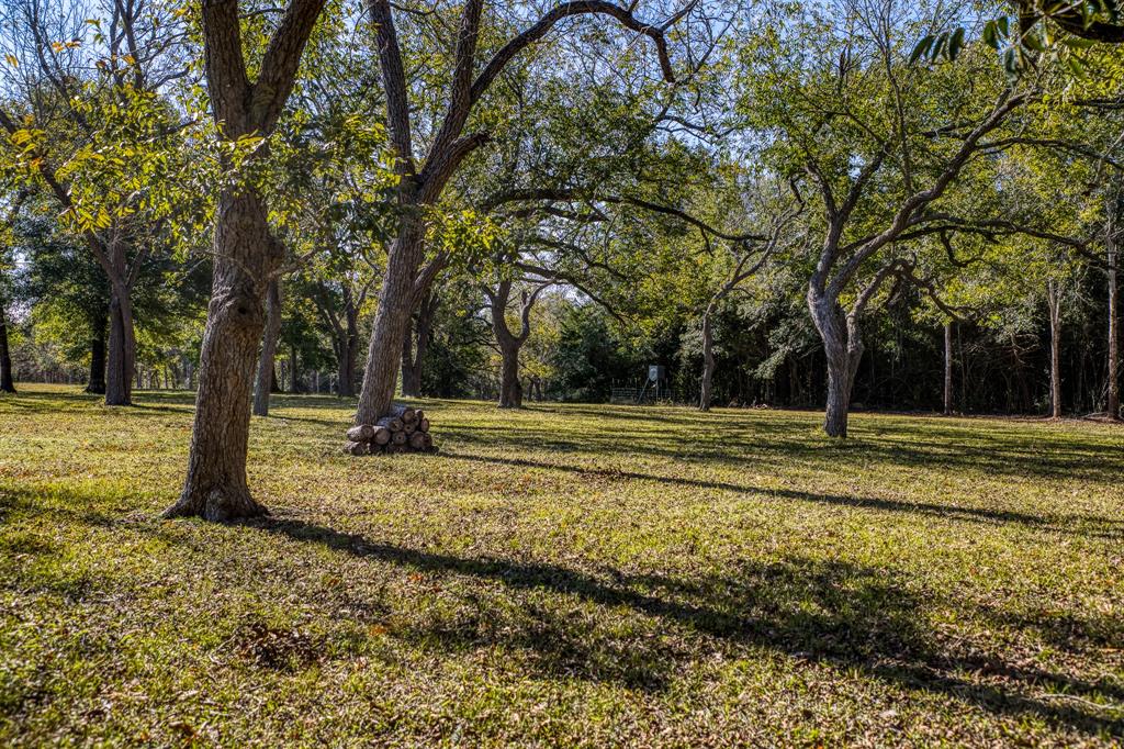 TBD Zettel Road, New Ulm, Texas image 2