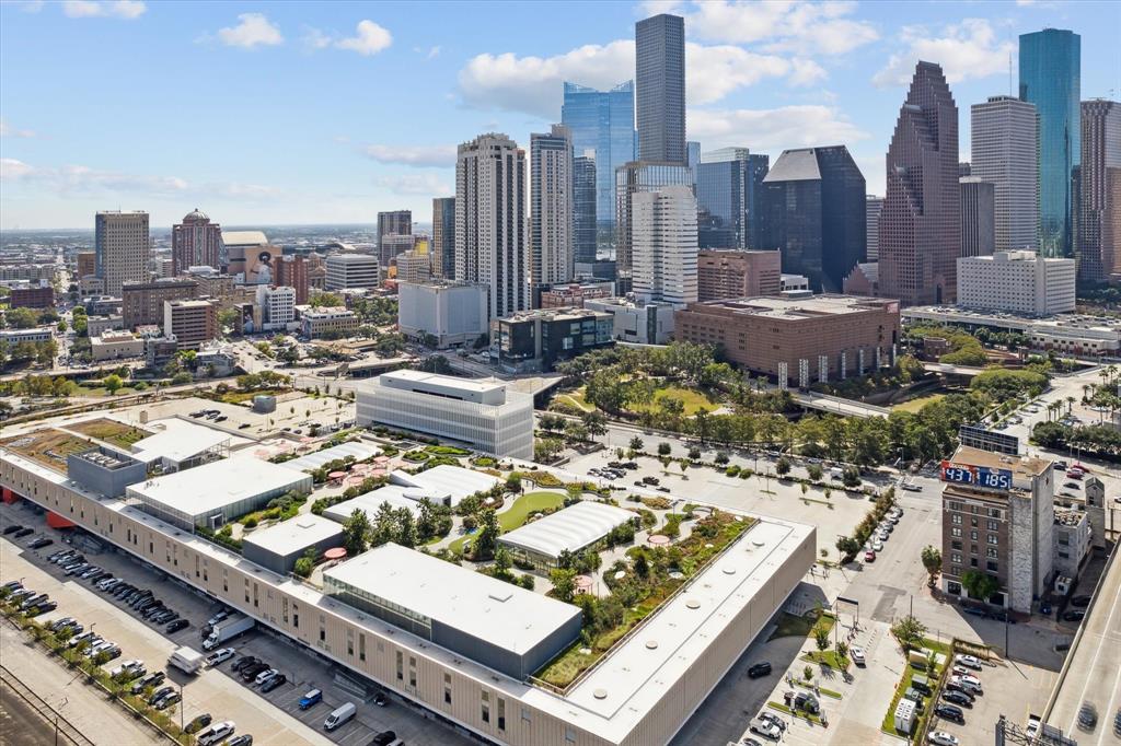 1803 Mills Street, Houston, Texas image 29