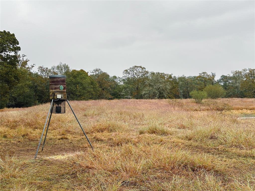 1312 County Road 255 Rd, Garwood, Texas image 4