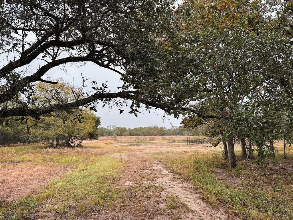 1312 County Road 255 Rd, Garwood, Texas image 11