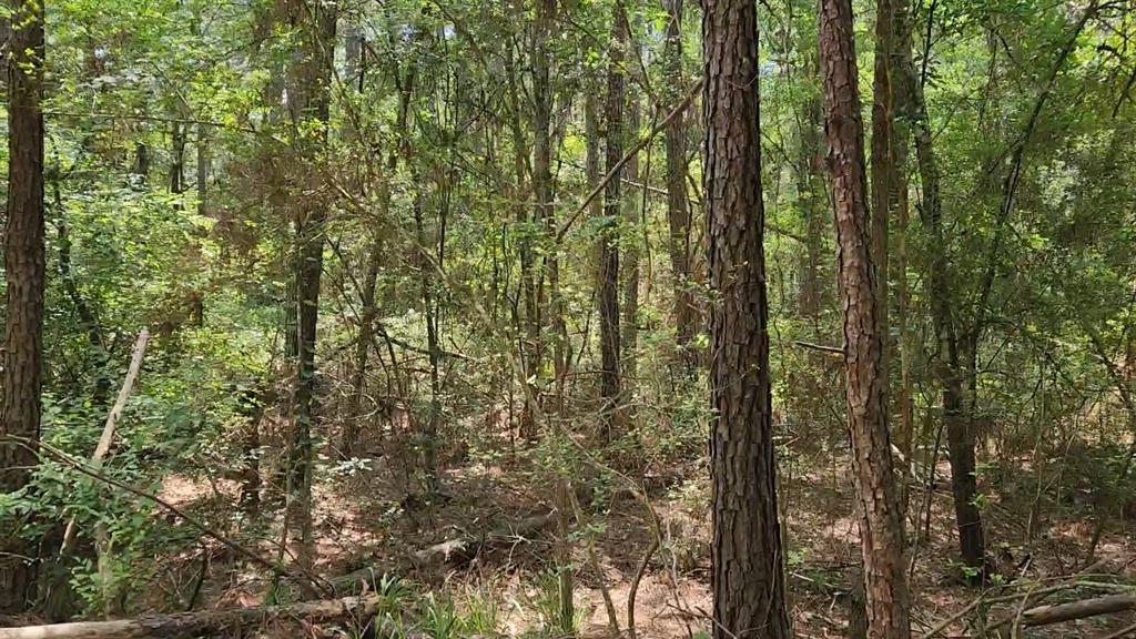 Lot 5 Tallowood Drive