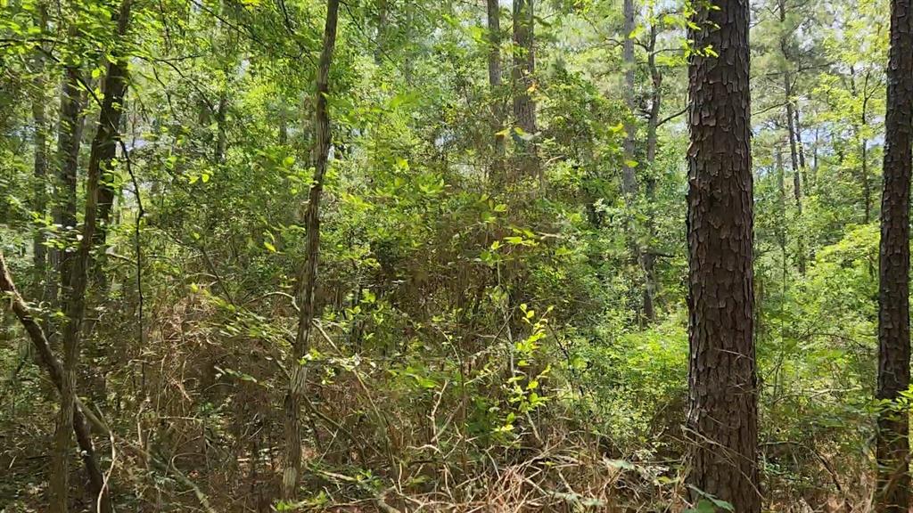 Lot 5 Tallowood Drive