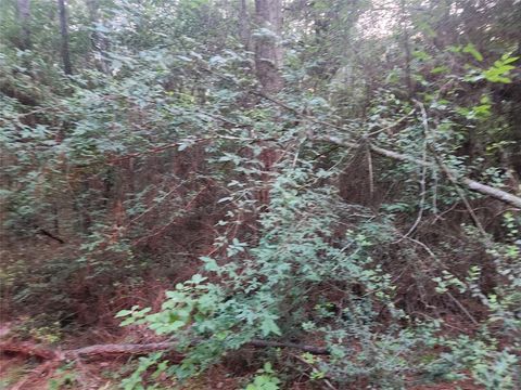 Lot 5 Tallowood Drive Plantersville TX 77363